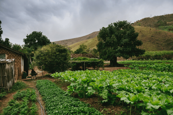 desenvolvimento rural sustentável